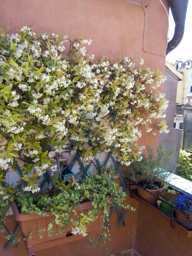 Ca' San Silvestro 2 Terrazze Nel Cuore Di Venezia ภายนอก รูปภาพ